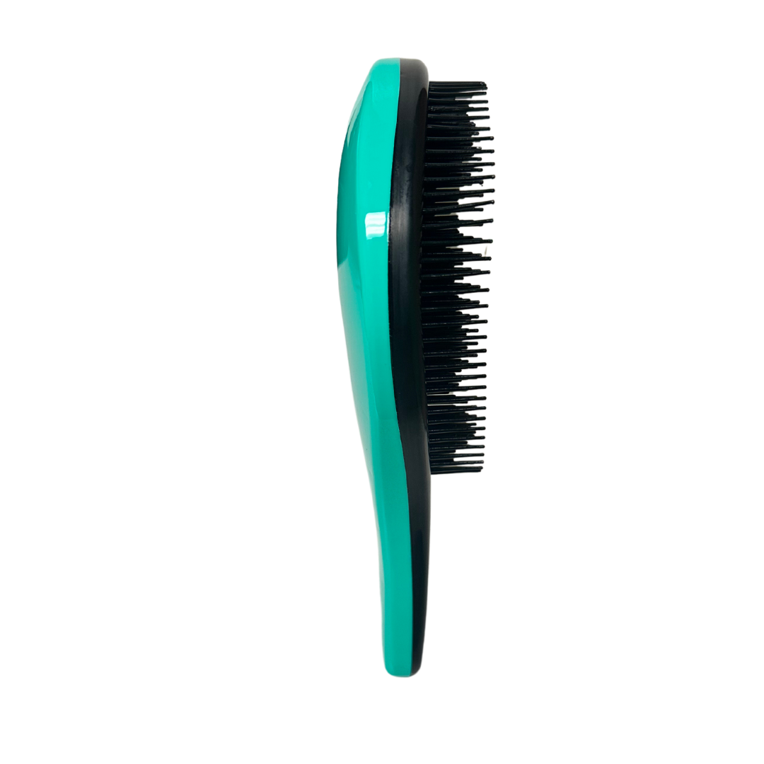 Teal and Black Hair Styling Brush Unique Bargains Small Salon Plastic Round Hair Brush Styling  main image 2