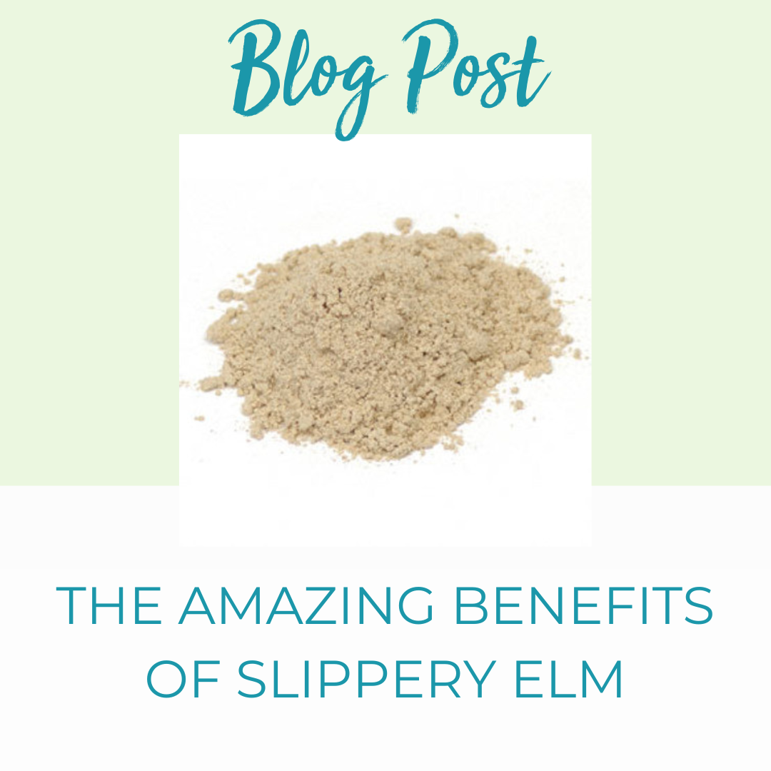 5 AMAZING BENEFITS OF SLIPPERY ELM