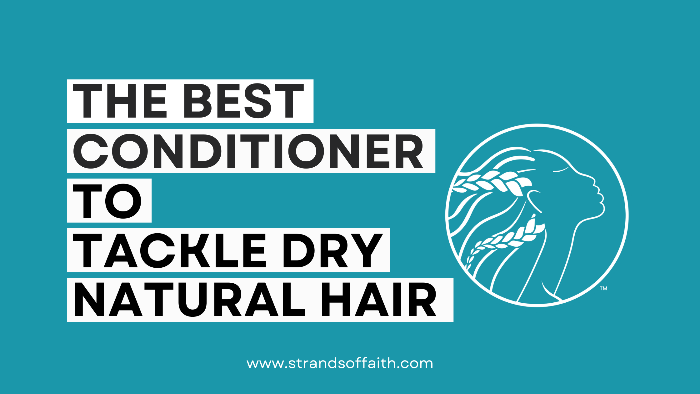 the best conditioner to tackle dry natural hair blog cover image